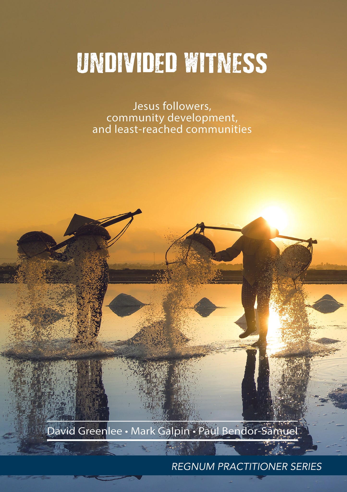Undivided Witness | eBook